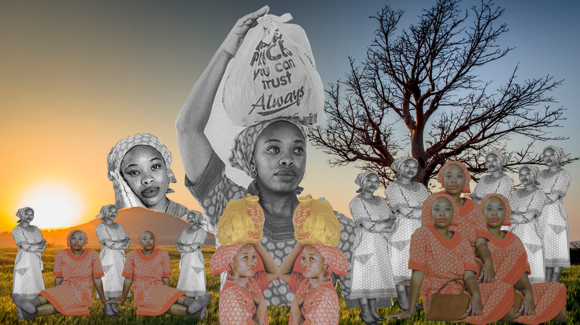 2D02FC5D-2796-46C6-A266-1AA517AE3C2E