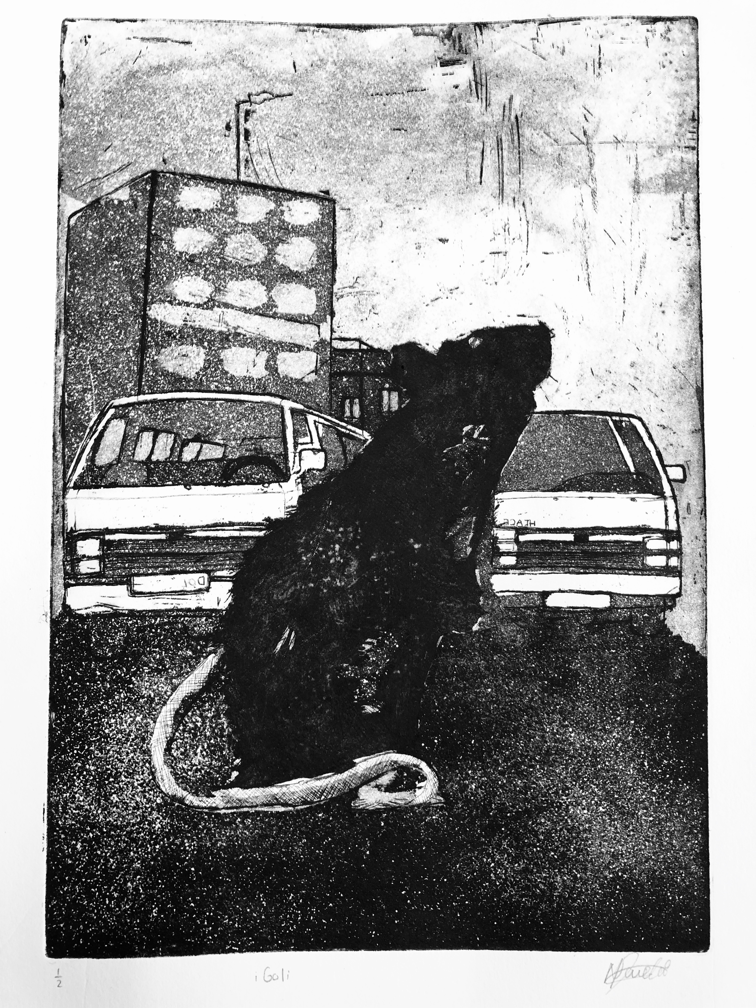 8629BF63-63D8-4D16-89F1-6EA2C64BEC30