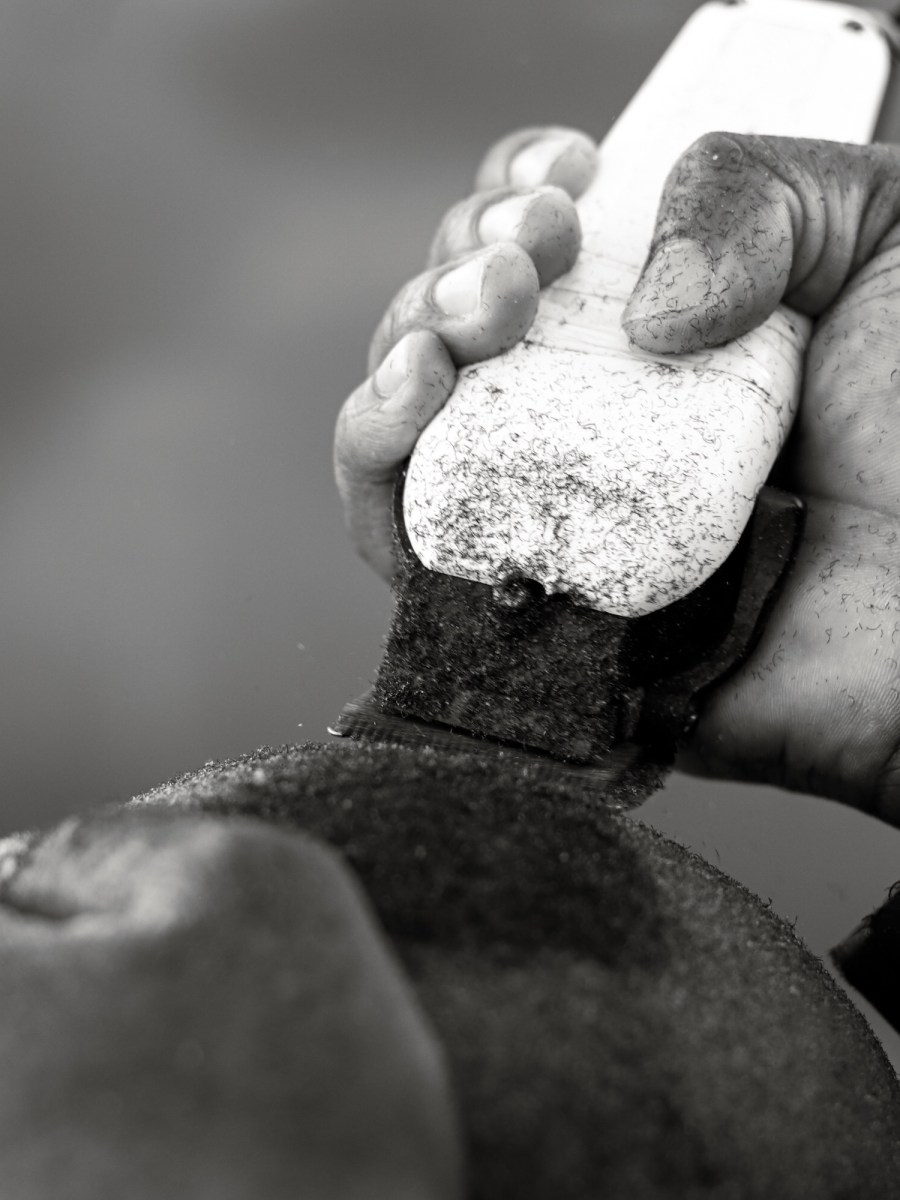 A Rendition of Santu Mofokeng’s ‘The Black Photo&nbsp;Album’