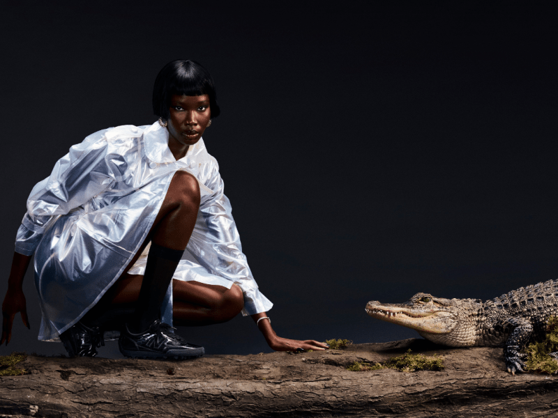 The Gator Run Emerges: Nostalgia, But Make It&nbsp;Bold